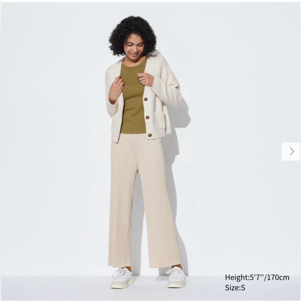 Uniqlo NWT pleated straight leg pants, medium